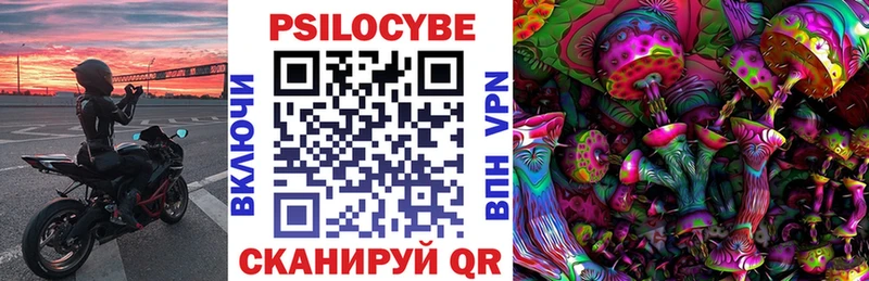 Галлюциногенные грибы Psilocybine cubensis Красавино